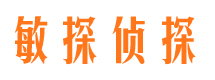 马龙私家侦探公司